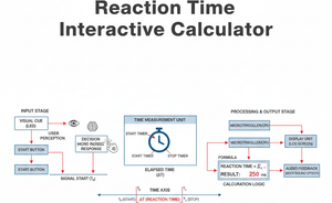 Reaction Time Interactive Calculator Technical Diagram